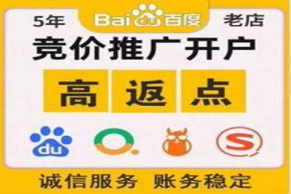 百度竞价优化技巧：成功案例分享